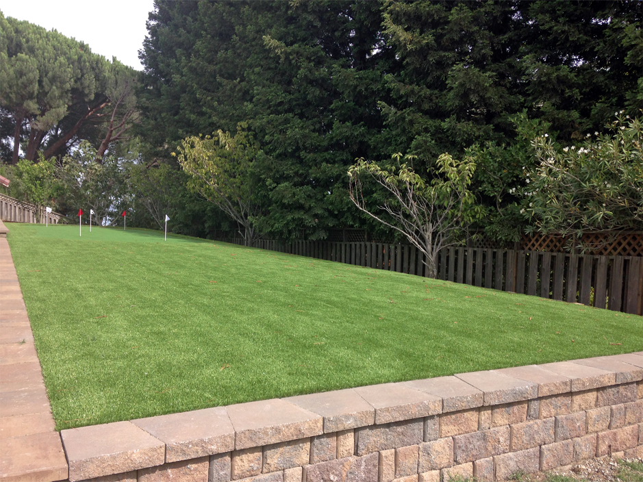 Artificial Grass Carpet Elk Creek, California Putting Green, Backyard