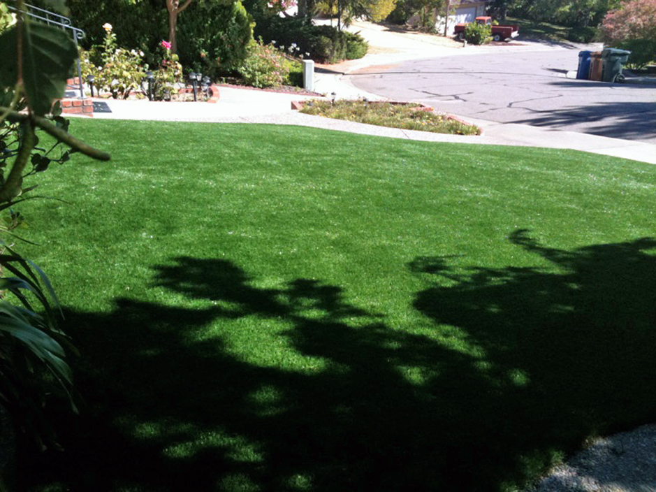 Synthetic Grass Florin, California Garden Ideas, Front Yard Landscaping Ideas