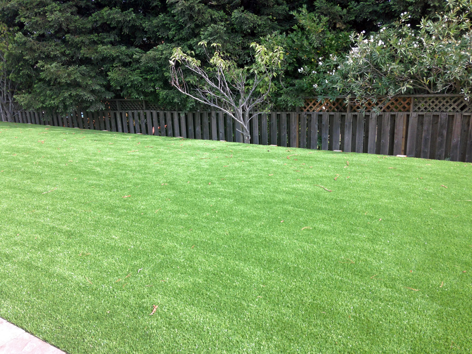 Synthetic Lawn Hopland, California Rooftop, Backyard Design