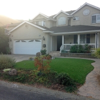 Artificial Grass Carpet Bethel Island, California Roof Top, Front Yard