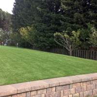 Artificial Grass Carpet Elk Creek, California Putting Green, Backyard