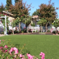 Artificial Grass Carpet Franklin, California Gardeners, Front Yard Landscaping Ideas