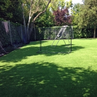 Artificial Grass Cherryland, California Garden Ideas, Backyard Ideas