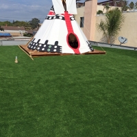 Artificial Grass Clarksburg, California Lawn And Garden, Veranda