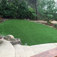 Artificial Grass Roseland, California Design Ideas, Backyard Design