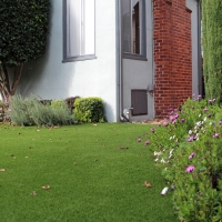 Artificial Lawn Hayward, California Landscaping, Front Yard