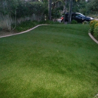 Artificial Lawn Mill Valley, California Home And Garden, Front Yard Landscape Ideas