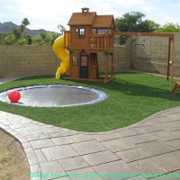 Artificial Lawn Vineyard, California Home And Garden, Backyard