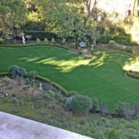 Artificial Turf Ashland, California Backyard Playground, Backyard