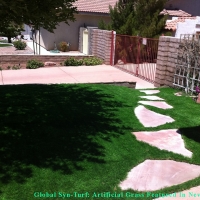 Artificial Turf Cost Antelope, California Indoor Dog Park, Front Yard