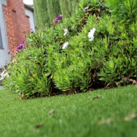 Artificial Turf Cost Colfax, California Backyard Playground, Landscaping Ideas For Front Yard
