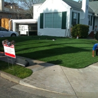 Artificial Turf Cost Rosemont, California Gardeners, Front Yard Landscaping