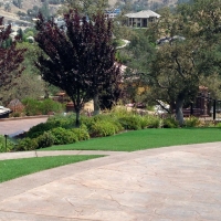 Best Artificial Grass Buena Vista, California Landscaping Business, Front Yard Landscaping