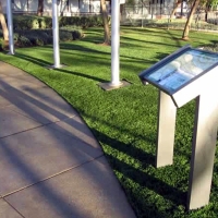 Fake Grass Carpet Auburn Lake Trails, California Paver Patio, Parks