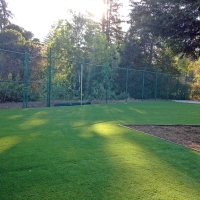 Fake Grass Fetters Hot Springs-Agua Caliente, California Backyard Playground, Parks