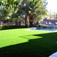 Fake Grass Ione, California Landscape Design, Backyards