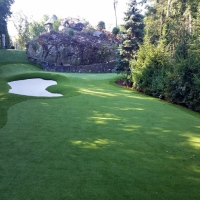 Fake Grass Linden, California Diy Putting Green, Commercial Landscape