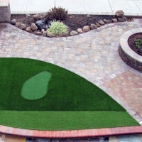 Fake Lawn Elmira, California Backyard Playground, Front Yard Design