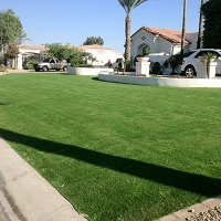 Fake Lawn Pioneer, California Landscape Ideas, Front Yard Ideas