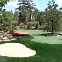 Fake Turf Blackhawk, California Garden Ideas, Backyard Landscape Ideas