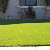 Fake Turf Cherryland, California Lawn And Landscape, Front Yard Design