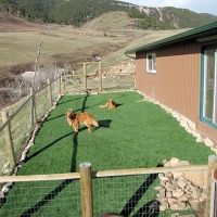 Fake Turf Lockeford, California Lawns, Dog Kennels