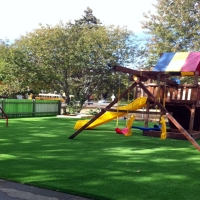 Fake Turf Robbins, California City Landscape, Commercial Landscape
