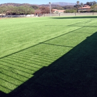 Faux Grass Diamond Springs, California Garden Ideas