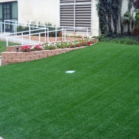 Faux Grass Guinda, California Putting Greens, Front Yard Ideas