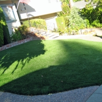 Grass Carpet Greeley Hill, California Lawn And Garden, Front Yard Design