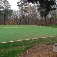 Grass Carpet Madison, California Landscape Photos