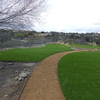 Grass Carpet Pleasanton, California High School Sports