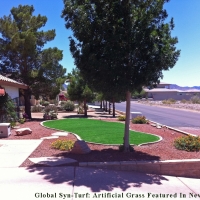 Grass Carpet Rosemont, California Landscape Design, Small Front Yard Landscaping