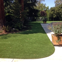 Grass Installation Mountain House, California Pet Turf, Front Yard Ideas