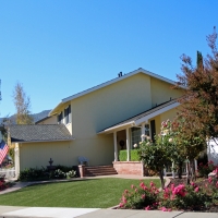 Grass Turf Antioch, California Lawns, Front Yard Ideas