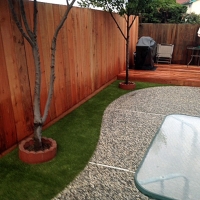 Grass Turf Kensington, California Landscape Ideas, Backyard Landscape Ideas