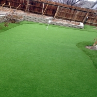 Grass Turf Princeton, California Putting Green, Backyard Garden Ideas