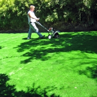Green Lawn Clio, California Landscape Ideas, Backyard Designs