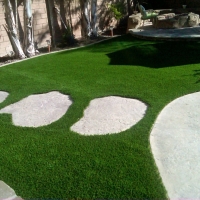 Green Lawn Foresthill, California Rooftop, Backyard Design