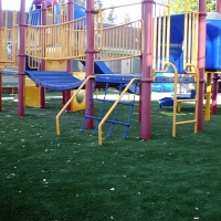 Green Lawn French Camp, California Backyard Playground, Commercial Landscape