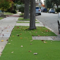 Green Lawn Kennedy, California City Landscape, Front Yard Landscaping