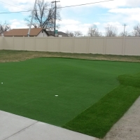 Green Lawn Windsor, California Indoor Putting Greens, Backyards