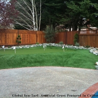 Lawn Services Rancho Cordova, California Landscaping Business, Backyard Landscaping