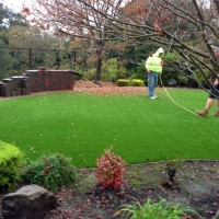 Outdoor Carpet Parkway, California Landscape Ideas, Backyard Ideas