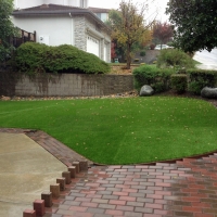 Outdoor Carpet Sacramento, California Lawns, Backyard Garden Ideas