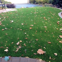 Outdoor Carpet Victor, California Paver Patio, Front Yard Landscape Ideas