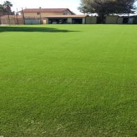 Plastic Grass Drytown, California Sports Turf, Recreational Areas