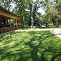 Plastic Grass Forbestown, California Pet Turf, Backyard Landscaping