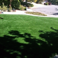 Synthetic Grass Florin, California Garden Ideas, Front Yard Landscaping Ideas