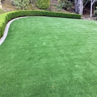 Synthetic Grass Fulton, California Landscaping Business, Beautiful Backyards